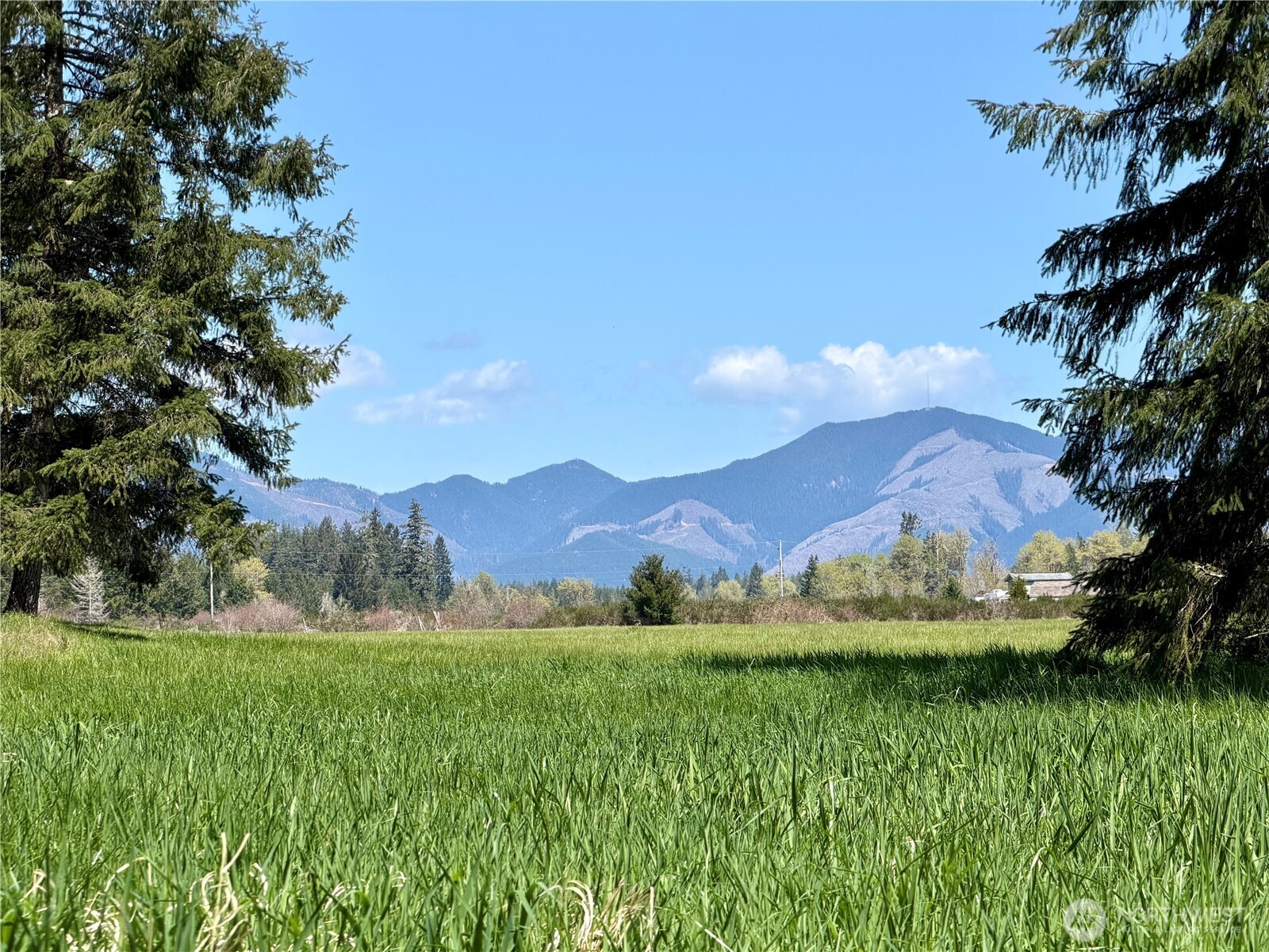0 xxx W Forest Green Lane , Elma, WA 98541