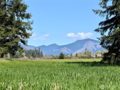 0 xxx W Forest Green Lane , Elma, WA 98541 - Photo 1
