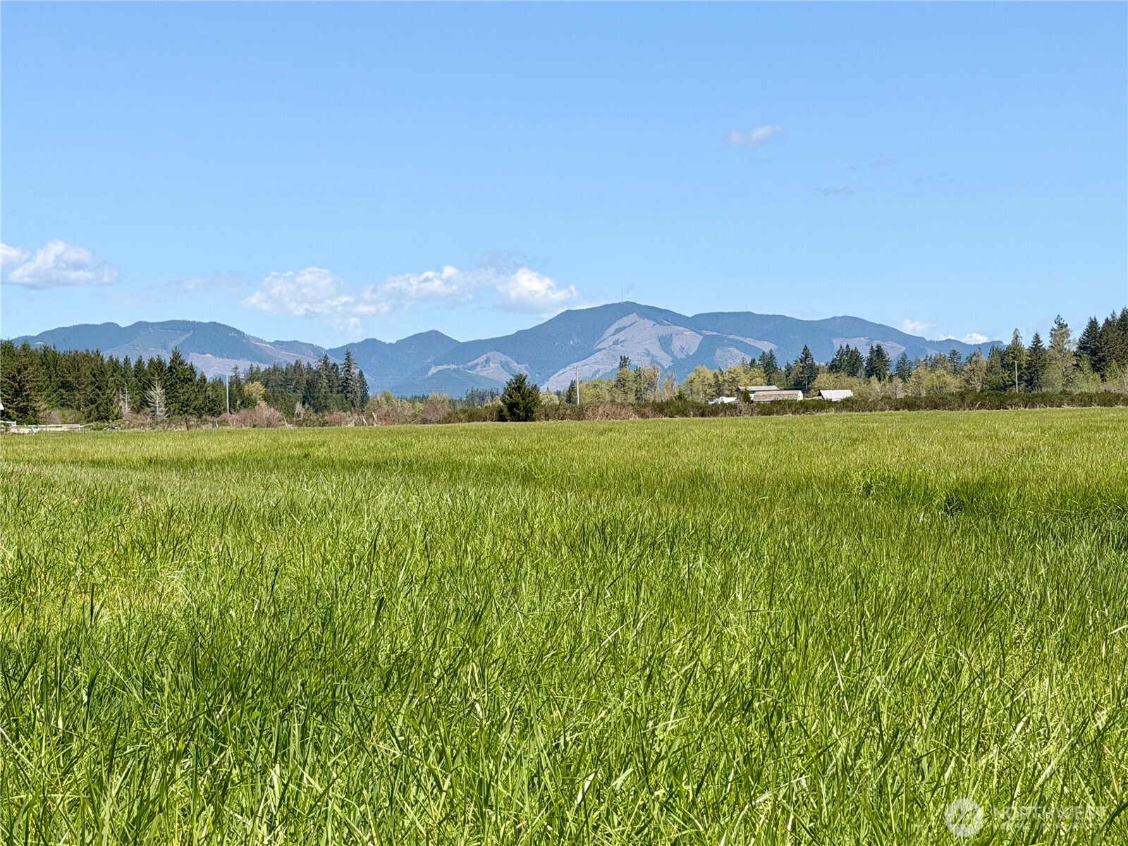 0 xxx W Forest Green Lane , Elma, WA 98541