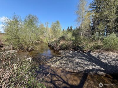 0 xxx W Forest Green Lane , Elma, WA 98541 - Photo 11
