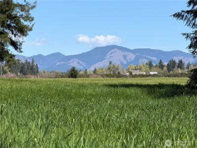 0 xxx W Forest Green Lane , Elma, WA 98541 - Photo 16