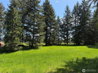 0 xxx W Forest Green Lane , Elma, WA 98541 - Photo 17