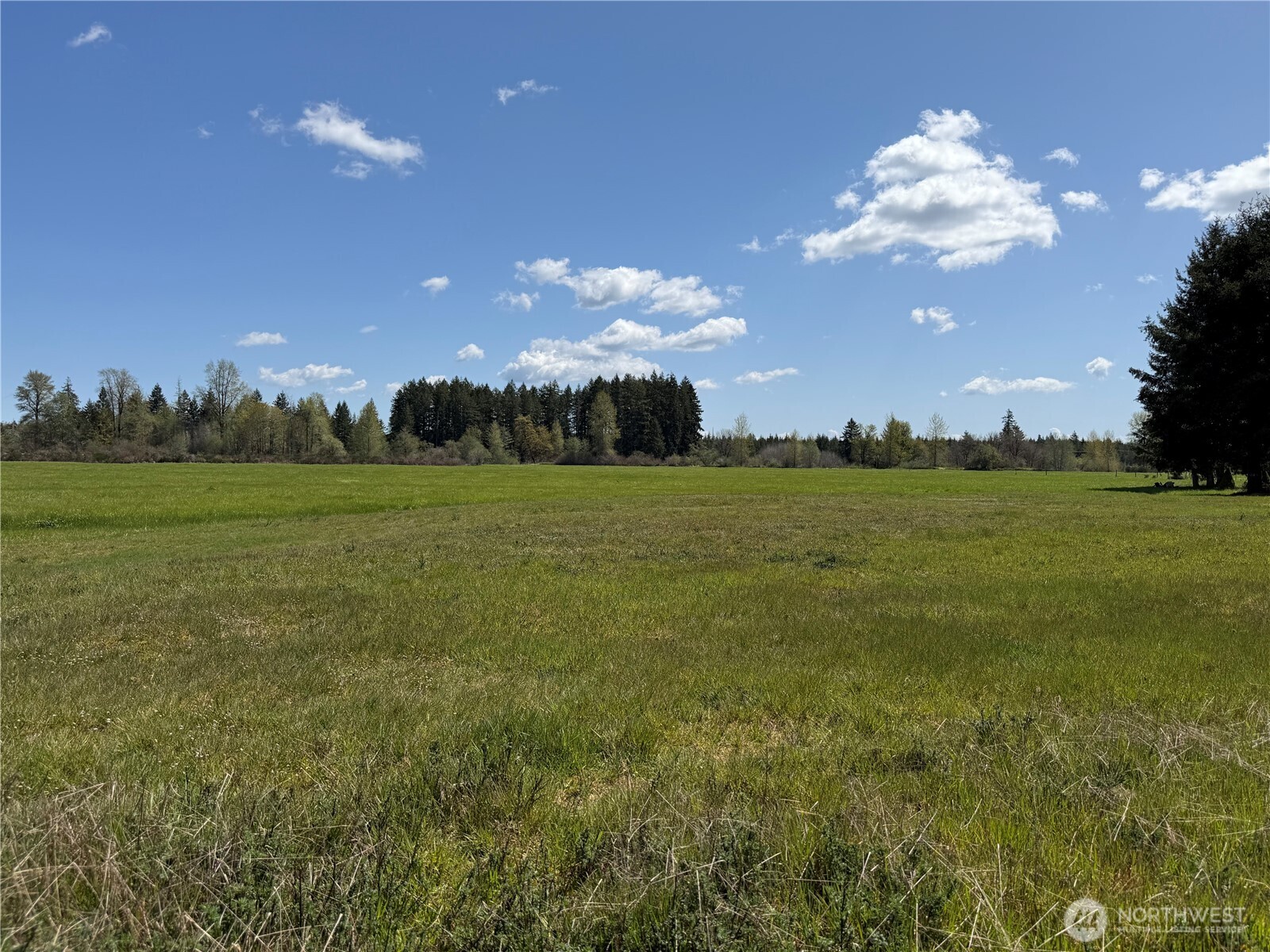 0 xxx W Forest Green Lane , Elma, WA 98541