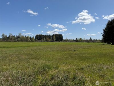 0 xxx W Forest Green Lane , Elma, WA 98541 - Photo 18
