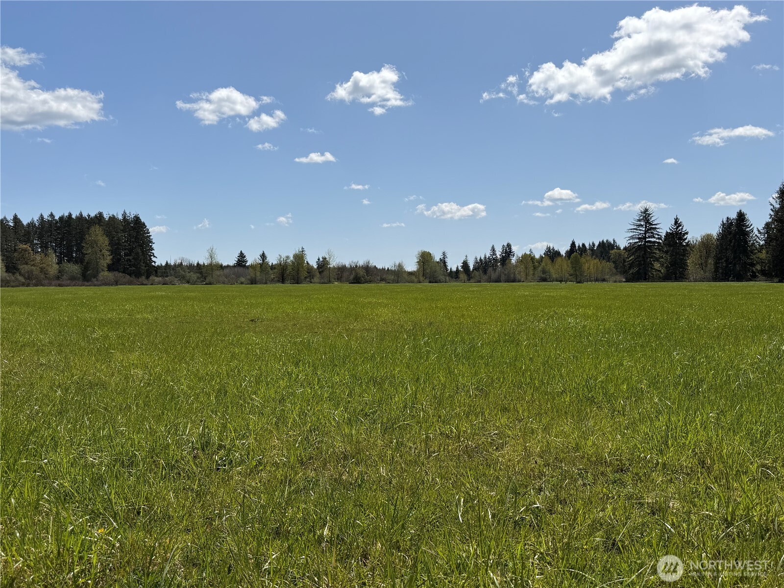 0 xxx W Forest Green Lane , Elma, WA 98541