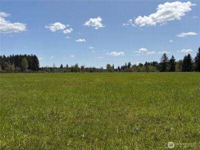 0 xxx W Forest Green Lane , Elma, WA 98541 - Photo 19