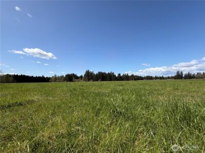 0 xxx W Forest Green Lane , Elma, WA 98541 - Photo 20