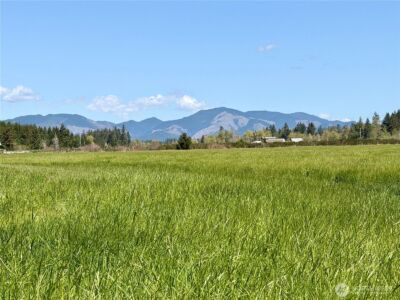 0 xxx W Forest Green Lane , Elma, WA 98541 - Photo 2