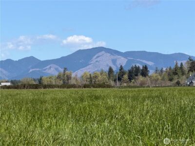 0 xxx W Forest Green Lane , Elma, WA 98541 - Photo 22