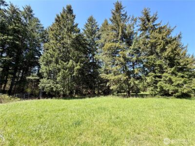 0 xxx W Forest Green Lane , Elma, WA 98541 - Photo 23