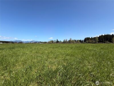 0 xxx W Forest Green Lane , Elma, WA 98541 - Photo 3