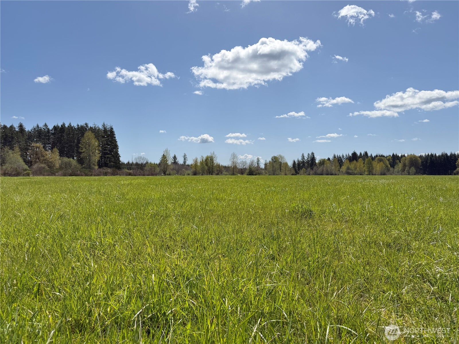 0 xxx W Forest Green Lane , Elma, WA 98541