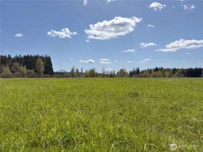 0 xxx W Forest Green Lane , Elma, WA 98541 - Photo 4
