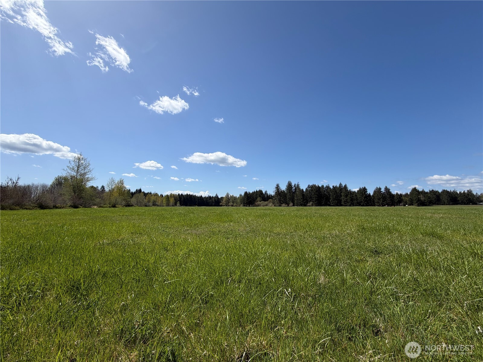 0 xxx W Forest Green Lane , Elma, WA 98541