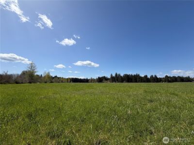 0 xxx W Forest Green Lane , Elma, WA 98541 - Photo 5
