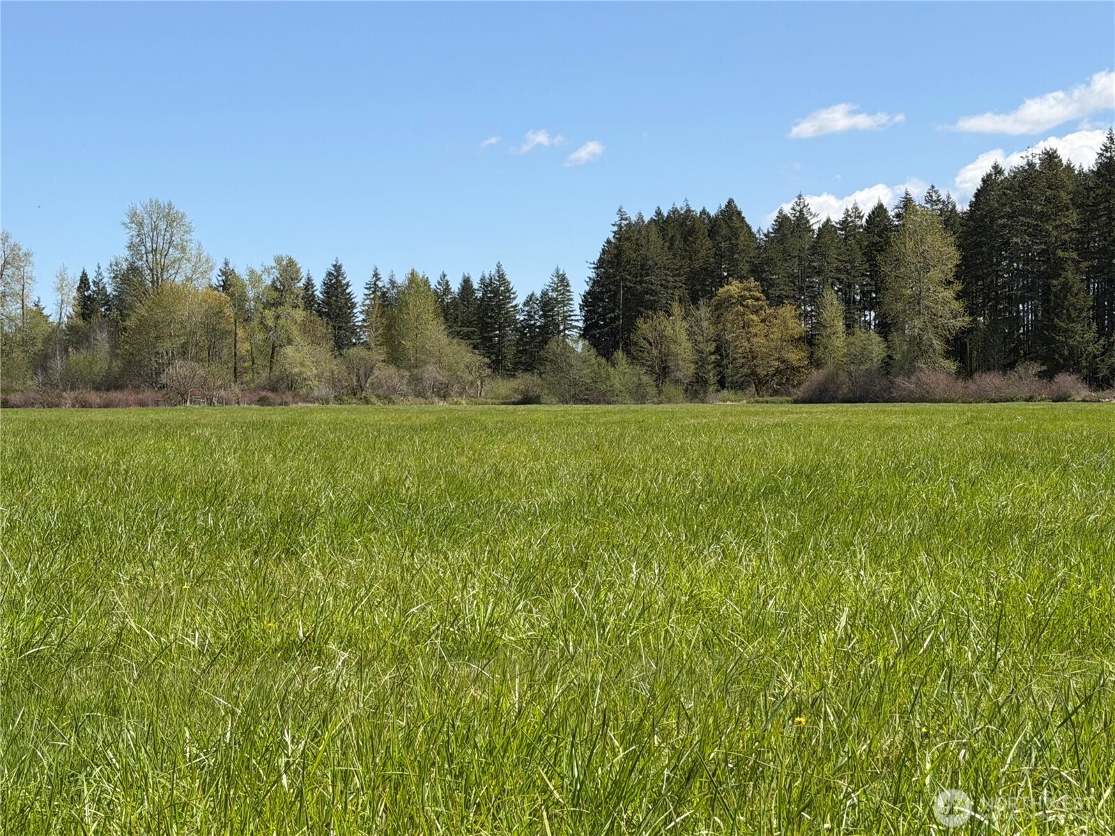 0 xxx W Forest Green Lane , Elma, WA 98541