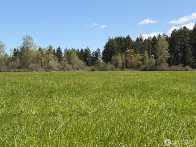0 xxx W Forest Green Lane , Elma, WA 98541 - Photo 6