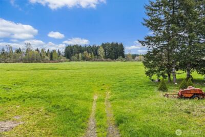0 xxx W Forest Green Lane , Elma, WA 98541 - Photo 8