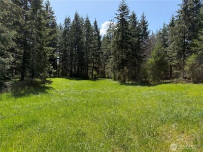 0 xxx W Forest Green Lane , Elma, WA 98541 - Photo 9