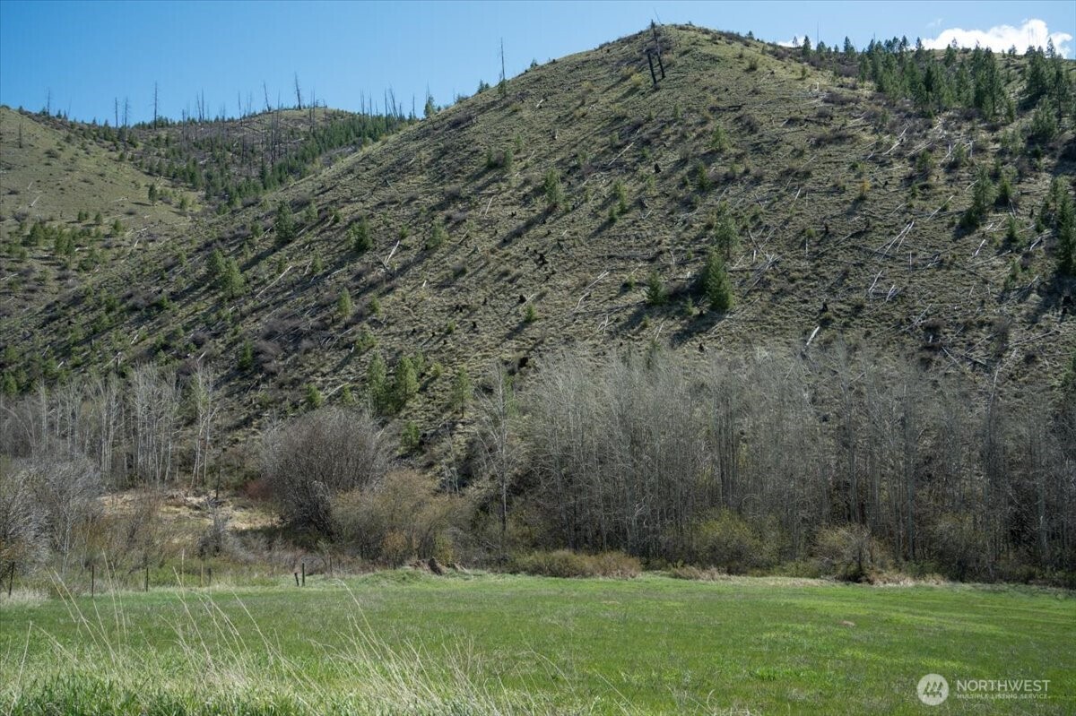 0 Bisping Canyon Road , Entiat, WA 98822