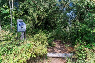 16115 243rd Street E, Graham, WA 98338 - Photo 34
