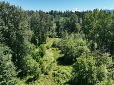 36204 108th Avenue Ct E, Eatonville, WA 98328 - Photo 5