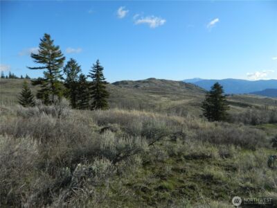 0 TBD Ellemeham Ridge Road , Tonasket, WA 98855
