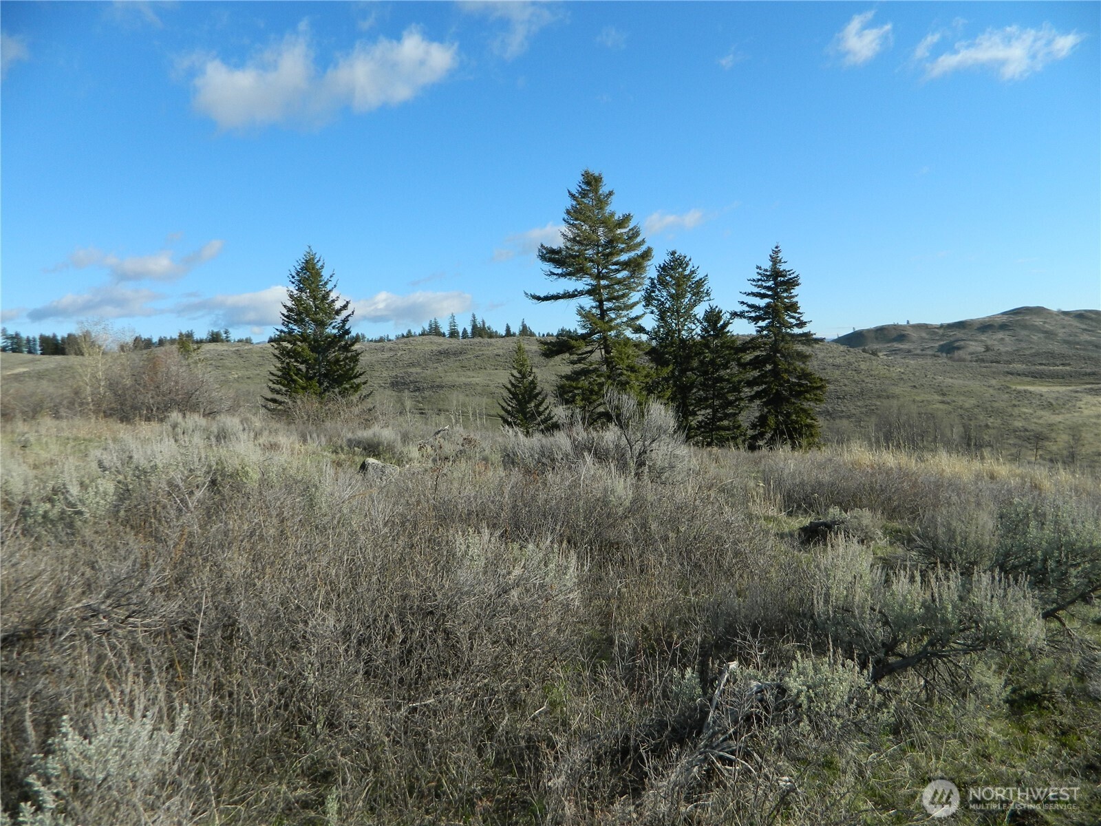 0 TBD Ellemeham Ridge Road , Tonasket, WA 98855