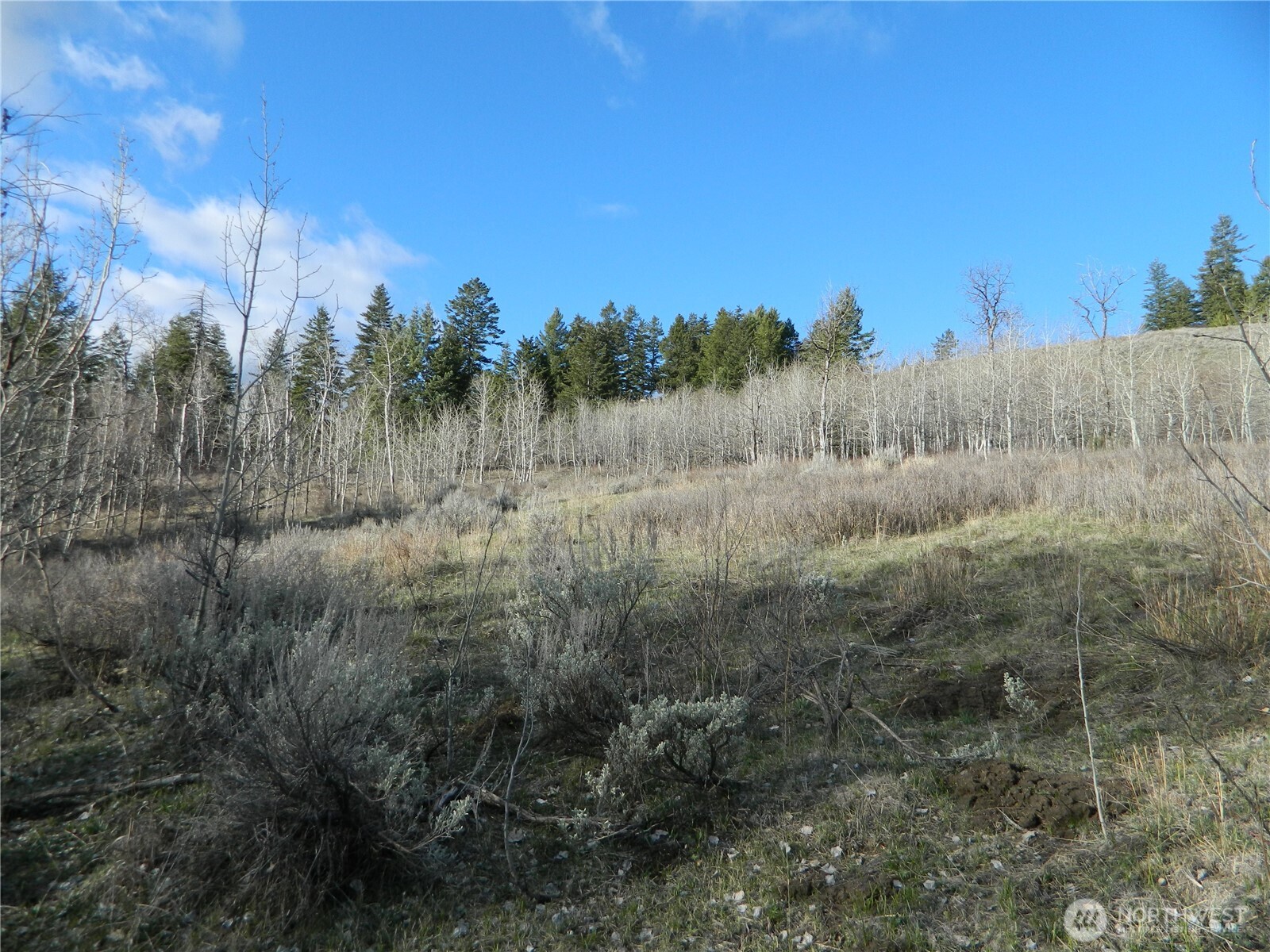 0 TBD Ellemeham Ridge Road , Tonasket, WA 98855