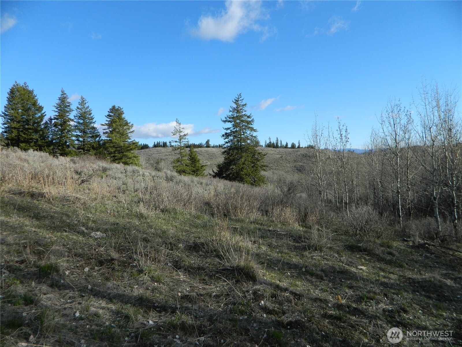 0 TBD Ellemeham Ridge Road , Tonasket, WA 98855