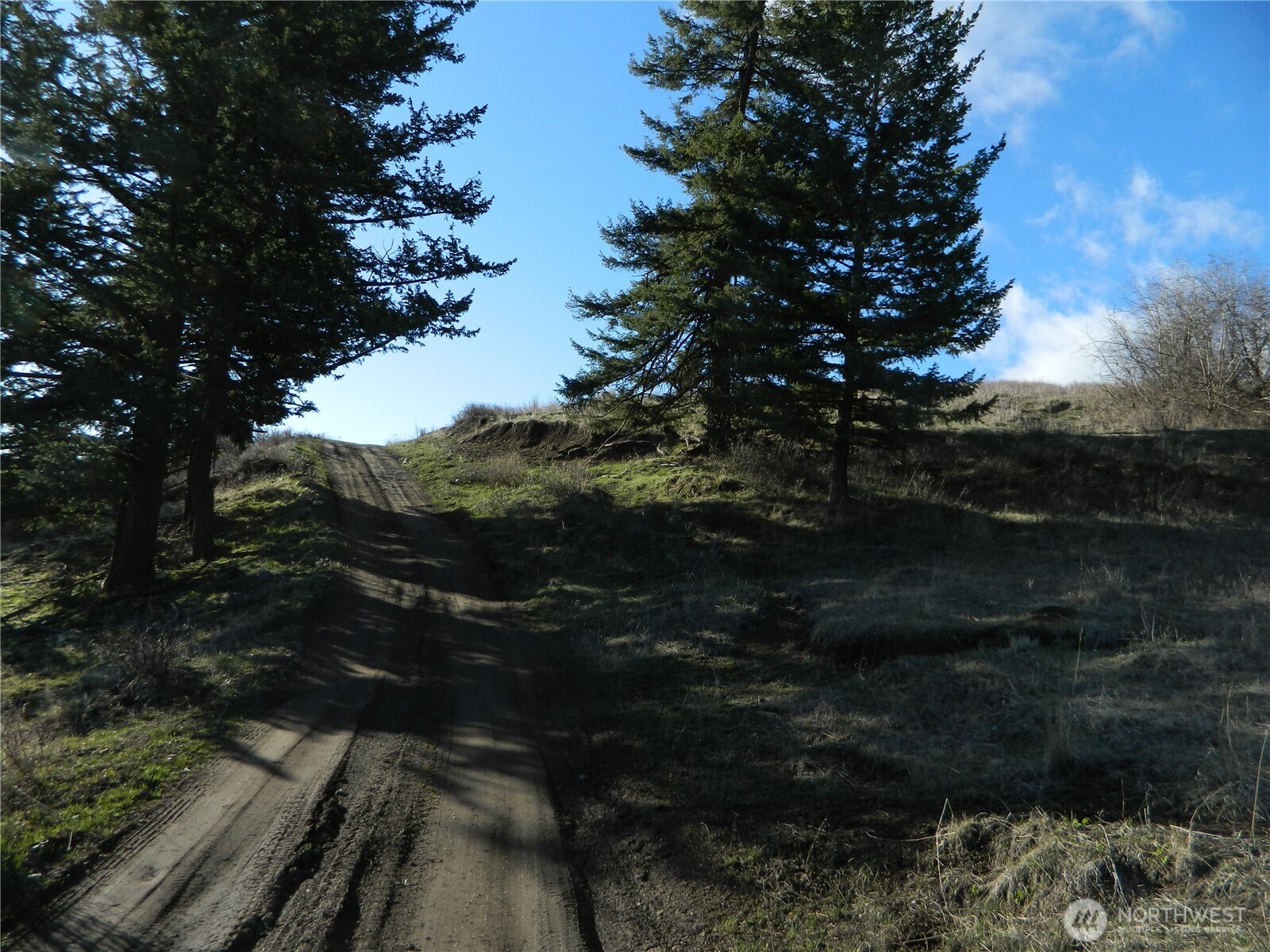 0 TBD Ellemeham Ridge Road , Tonasket, WA 98855