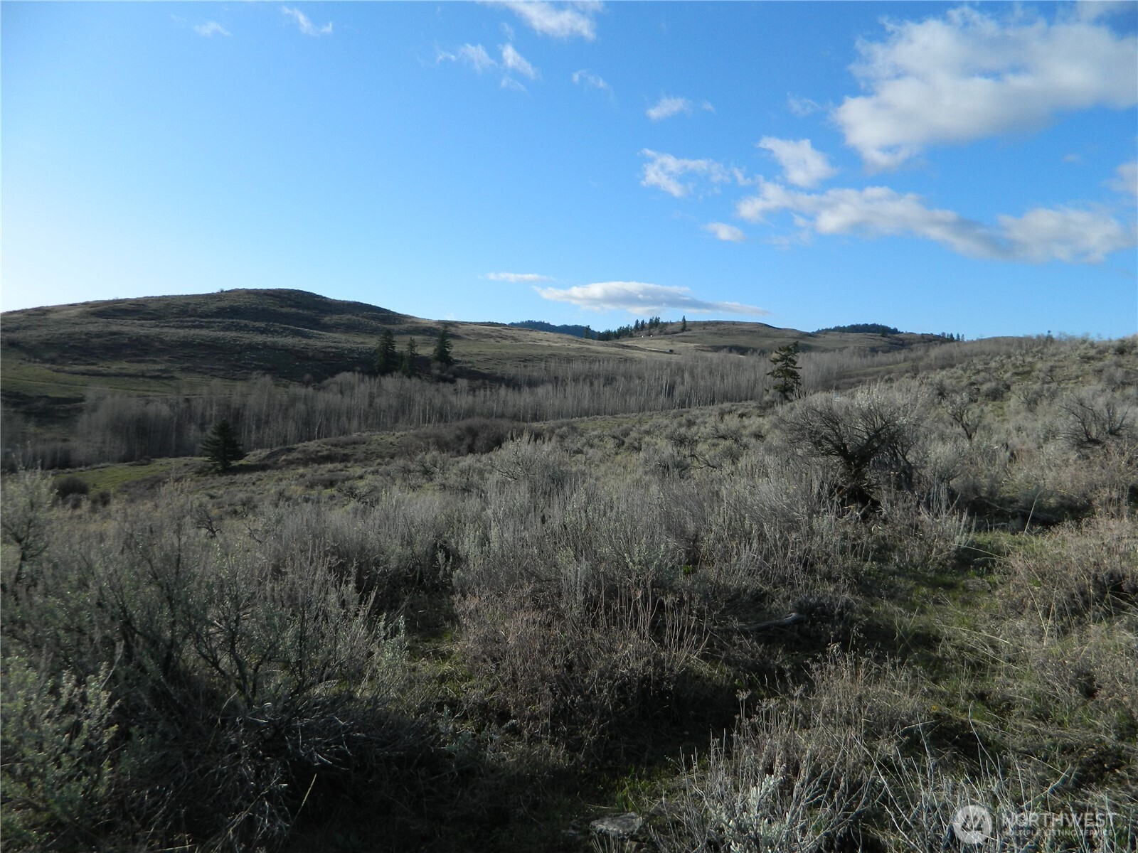0 TBD Ellemeham Ridge Road , Tonasket, WA 98855