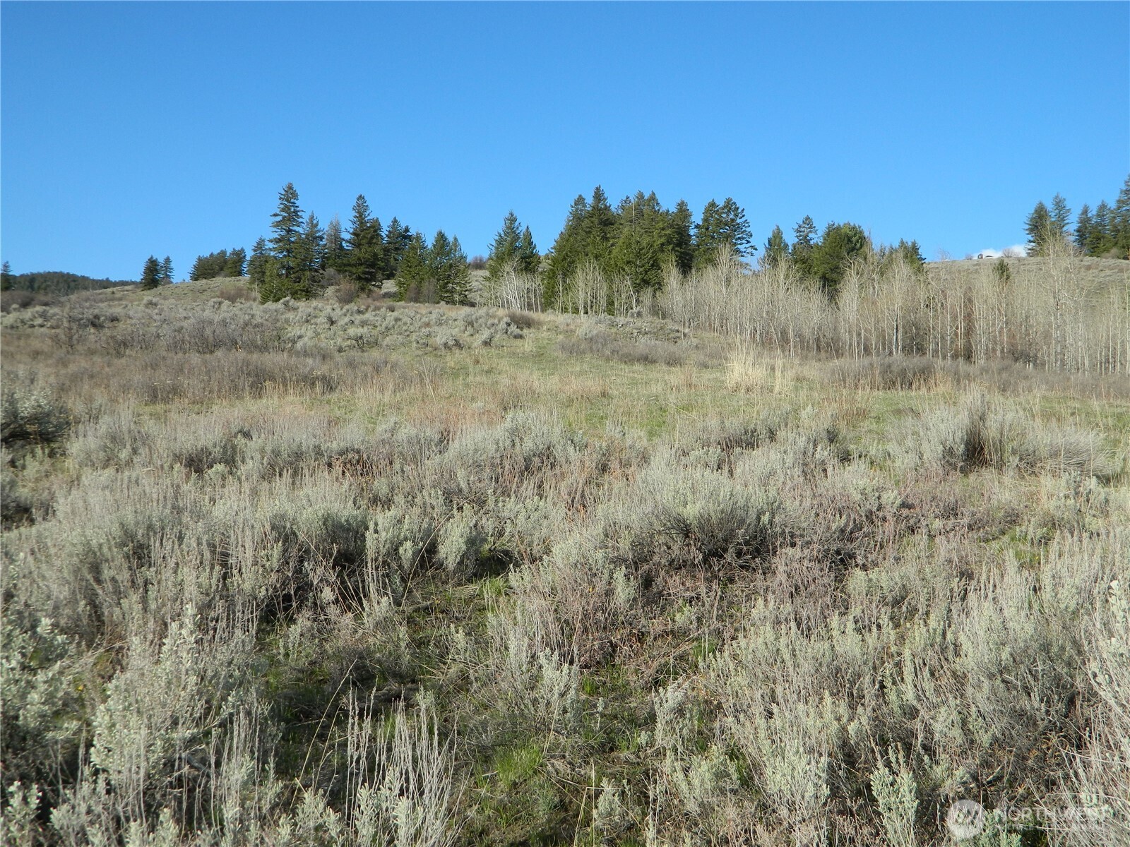 0 TBD Ellemeham Ridge Road , Tonasket, WA 98855