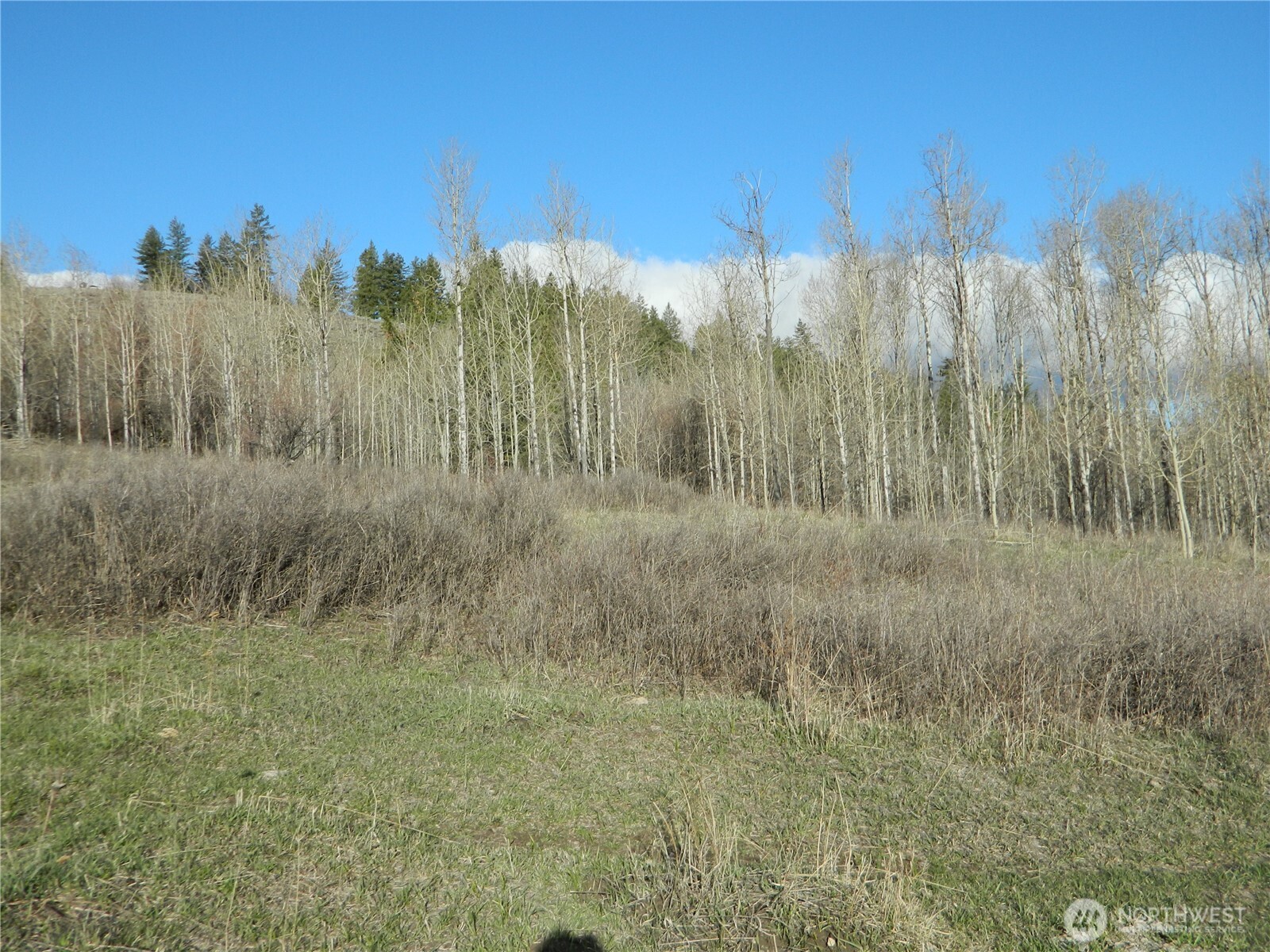0 TBD Ellemeham Ridge Road , Tonasket, WA 98855