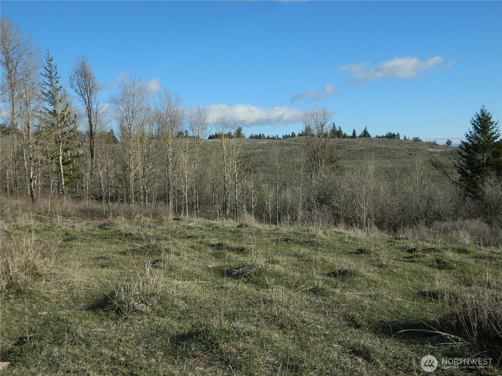 0 TBD Ellemeham Ridge Road , Tonasket, WA 98855
