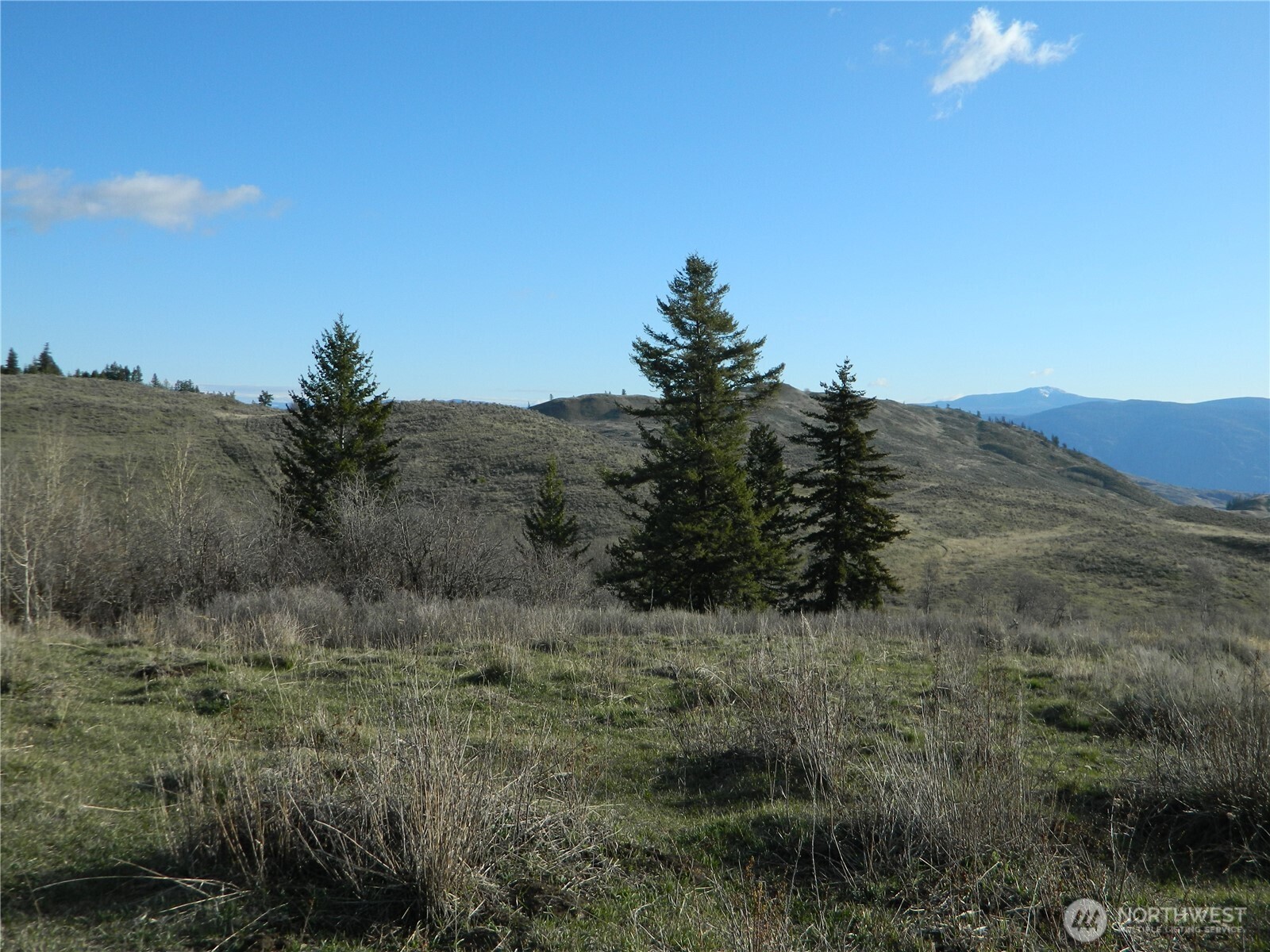 0 TBD Ellemeham Ridge Road , Tonasket, WA 98855