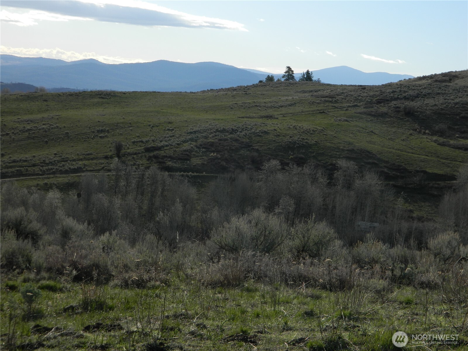 0 TBD Ellemeham Ridge Road , Tonasket, WA 98855