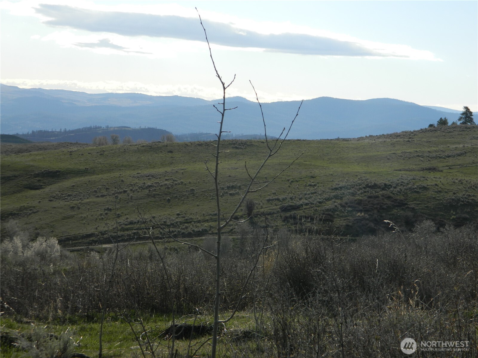 0 TBD Ellemeham Ridge Road , Tonasket, WA 98855