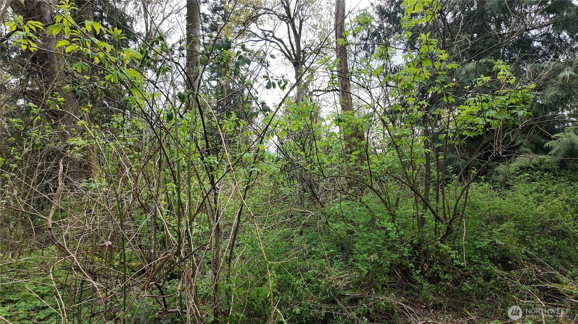 17584 Allen Road , Bow, WA 98232