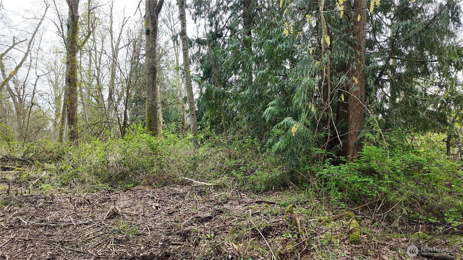 17584 Allen Road , Bow, WA 98232
