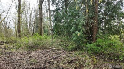 17584 Allen Road , Bow, WA 98232 - Photo 15
