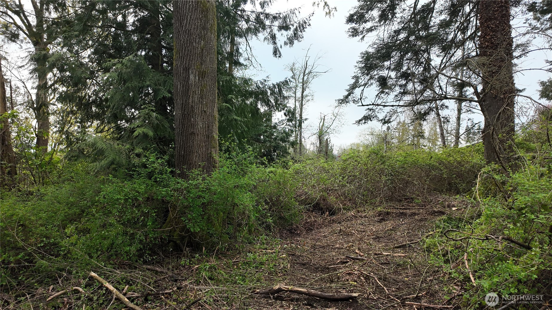 17584 Allen Road , Bow, WA 98232