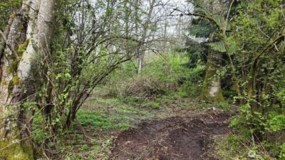 17584 Allen Road , Bow, WA 98232 - Photo 17