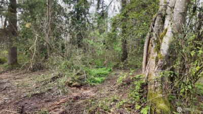 17584 Allen Road , Bow, WA 98232 - Photo 18