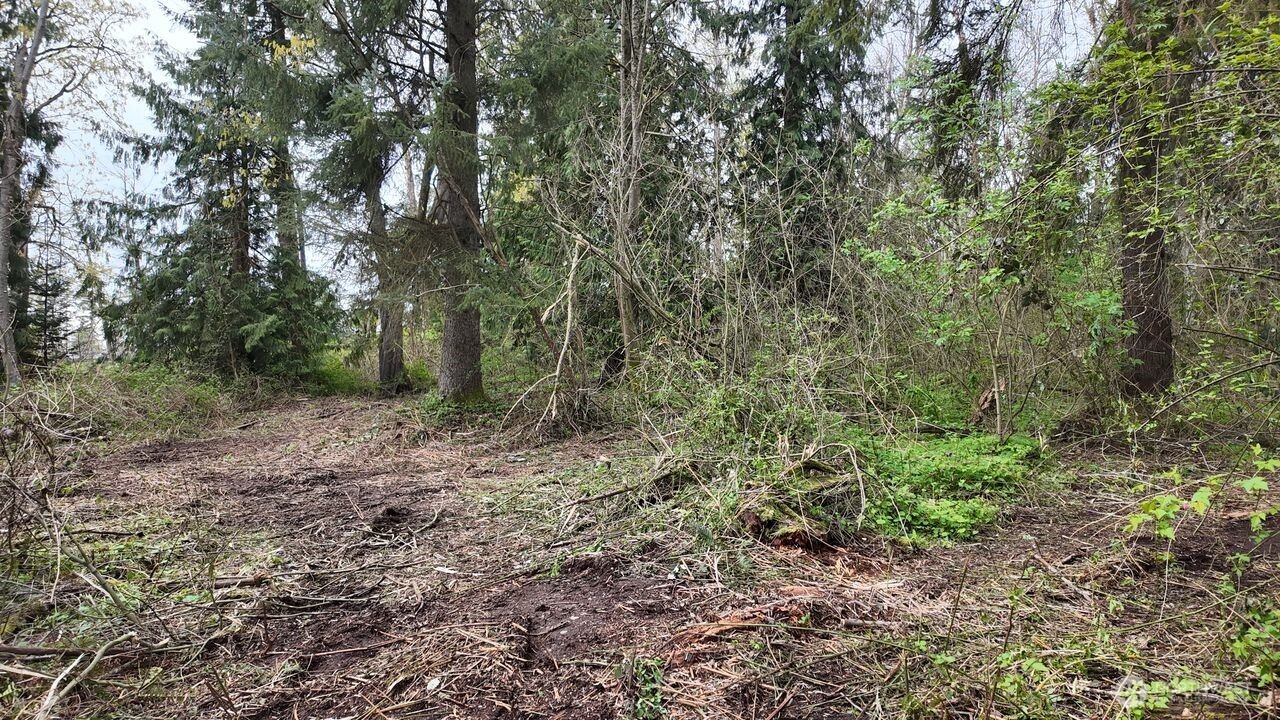 17584 Allen Road , Bow, WA 98232