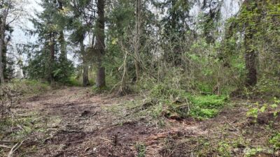 17584 Allen Road , Bow, WA 98232 - Photo 19