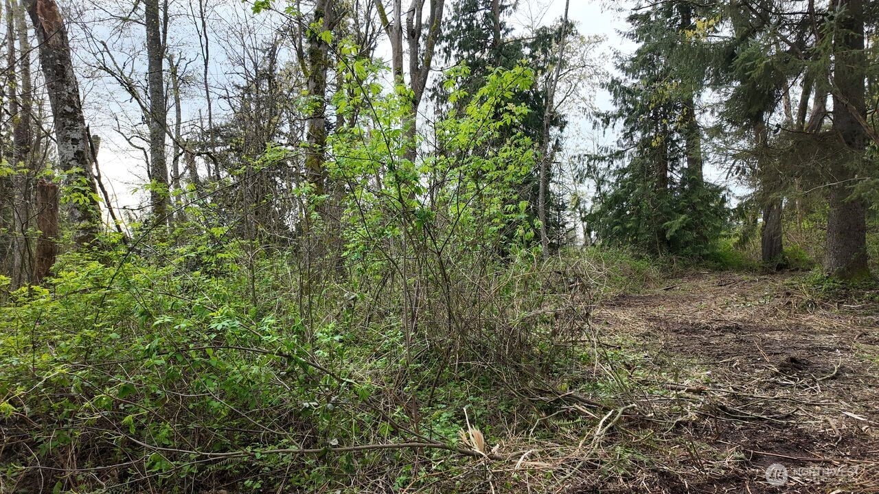 17584 Allen Road , Bow, WA 98232