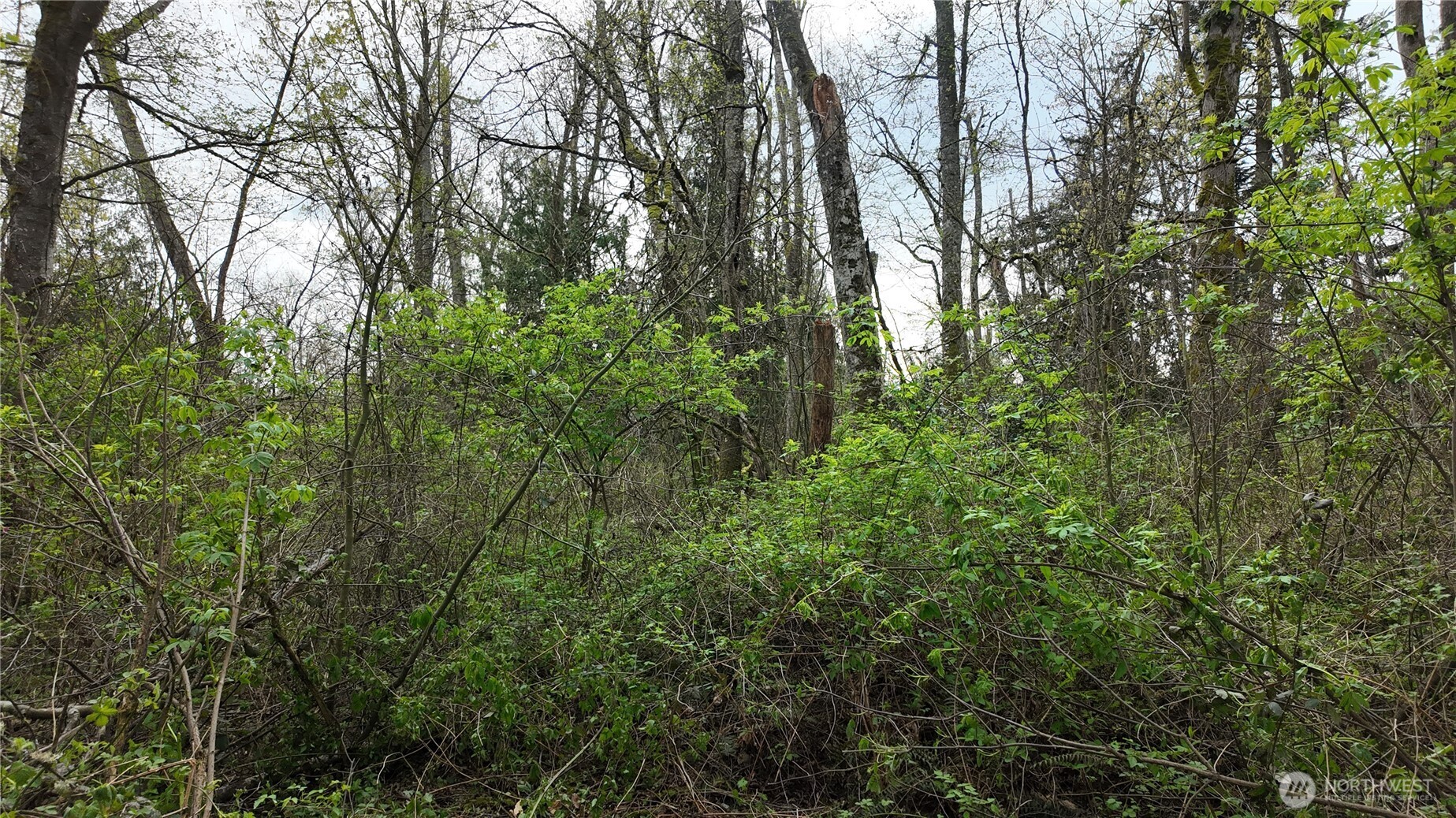 17584 Allen Road , Bow, WA 98232