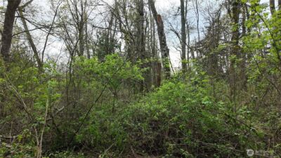 17584 Allen Road , Bow, WA 98232 - Photo 7