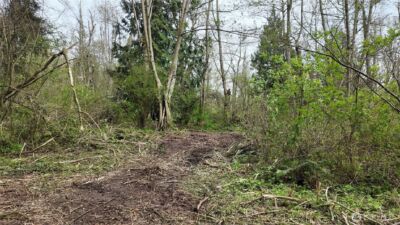 17584 Allen Road , Bow, WA 98232 - Photo 8